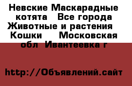 Невские Маскарадные котята - Все города Животные и растения » Кошки   . Московская обл.,Ивантеевка г.